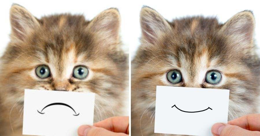 How Are You Feeling Today?